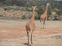 201810sf-adelaide-kangaroo-island-DSCN3425