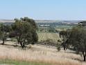 201810sf-adelaide-kangaroo-island-DSCN3502