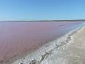 201810sf-adelaide-kangaroo-island-DSCN1751