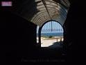 0612sf1_DSCF8381