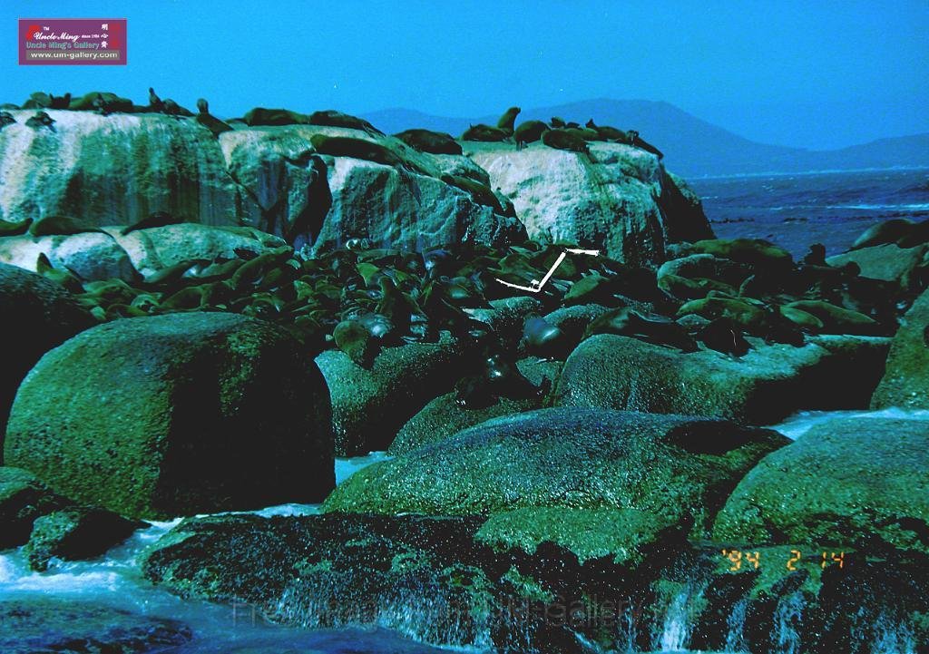 DSCN0540.JPG