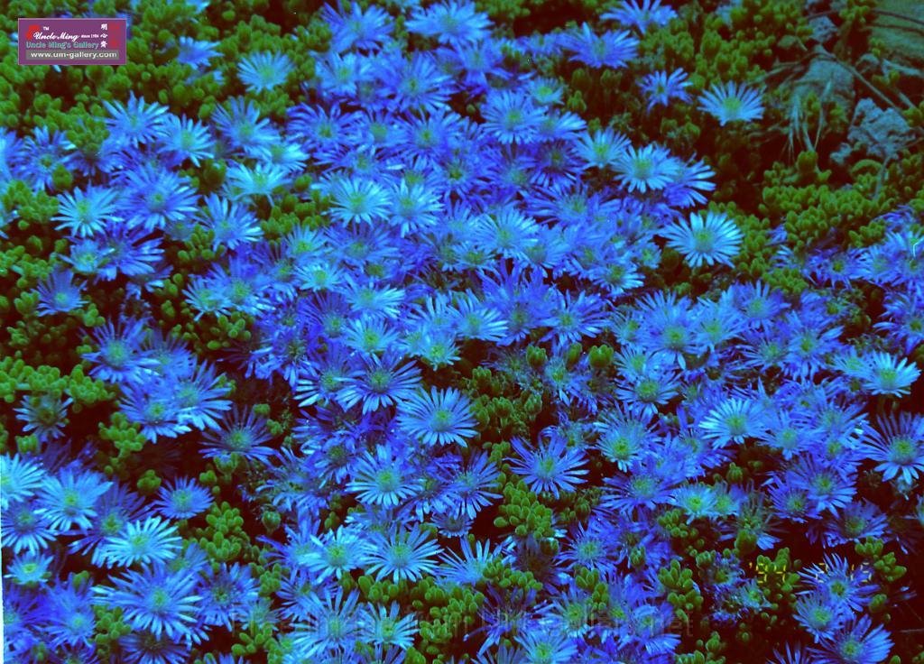 DSCN0597.JPG