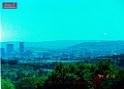 DSCN0481