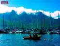 DSCN0536