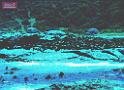 DSCN0551