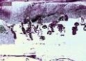 DSCN0567