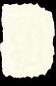 paper-torn-beige