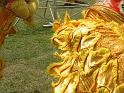 DSCN1249