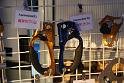 081026cas_oday_DSC_0152