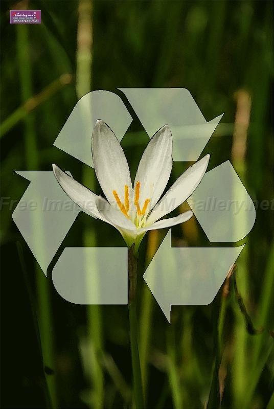 1208recycle-1_watercolor-op.jpg