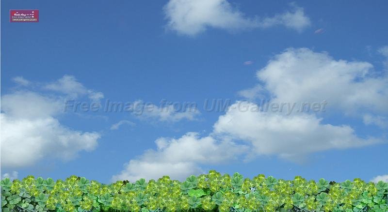 4leaf-clover-sky-115x210cm.jpg